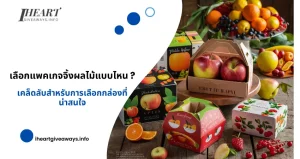 เลือกแพคเกจจิ้งผลไม้แบบไหน? เคล็ดลับสำหรับการเลือกกล่องที่น่าสนใจ